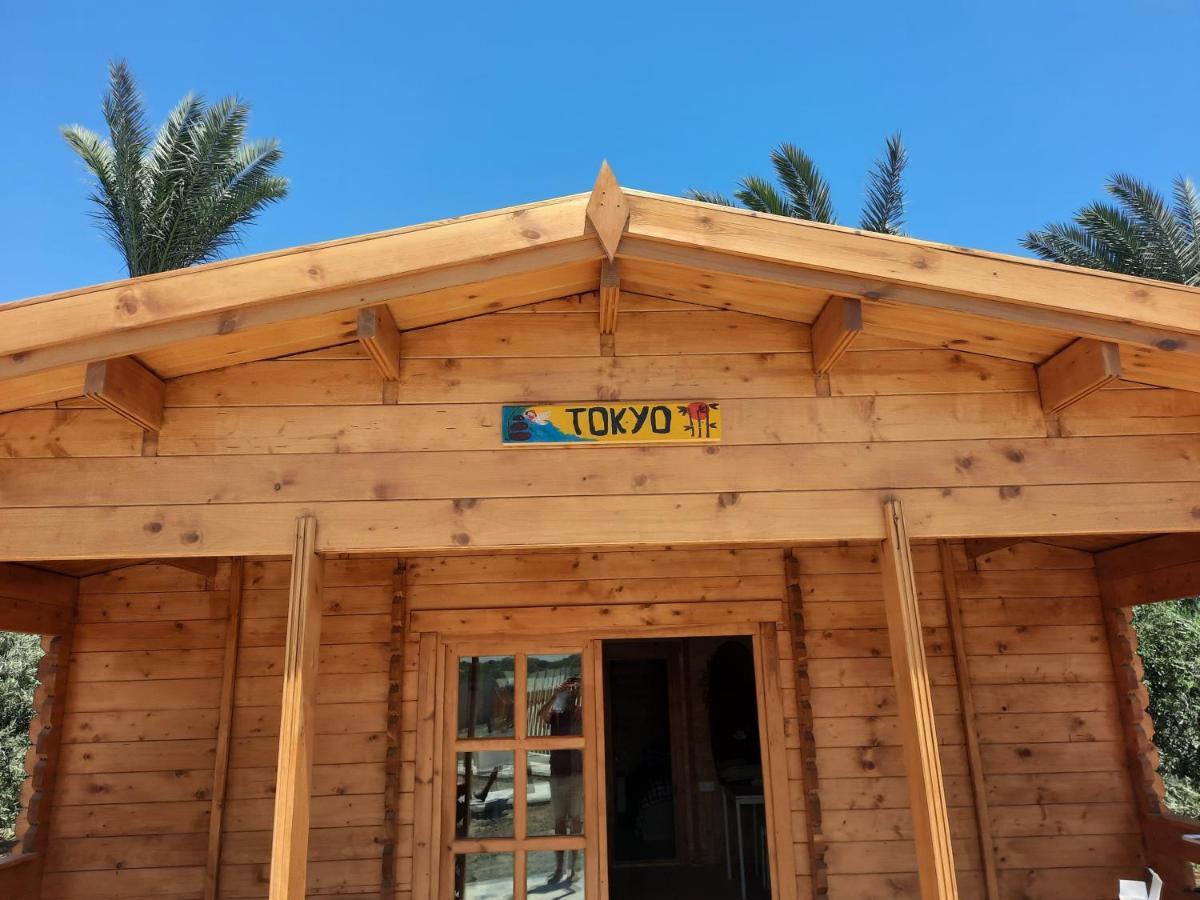 Cyprus Glamping Park Hotel Agios Theodoros Luaran gambar