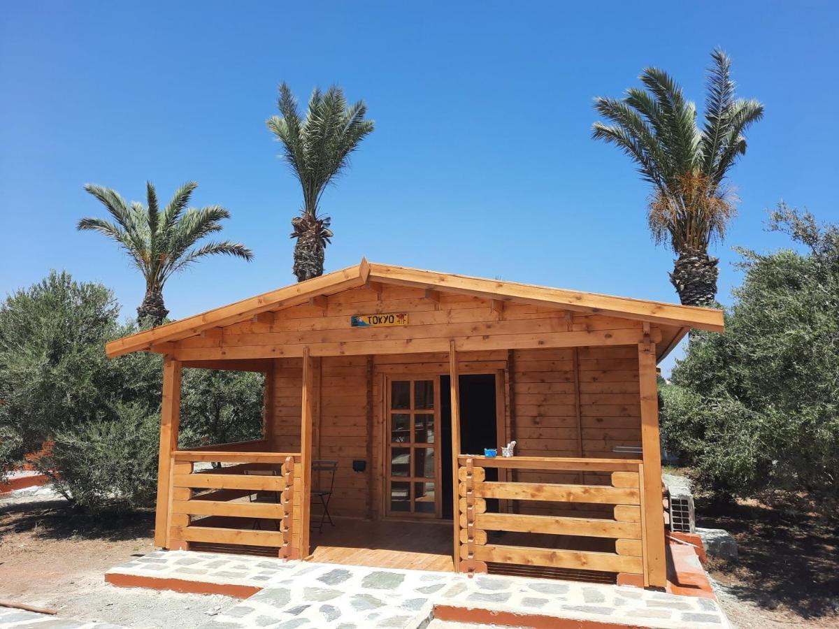 Cyprus Glamping Park Hotel Agios Theodoros Luaran gambar