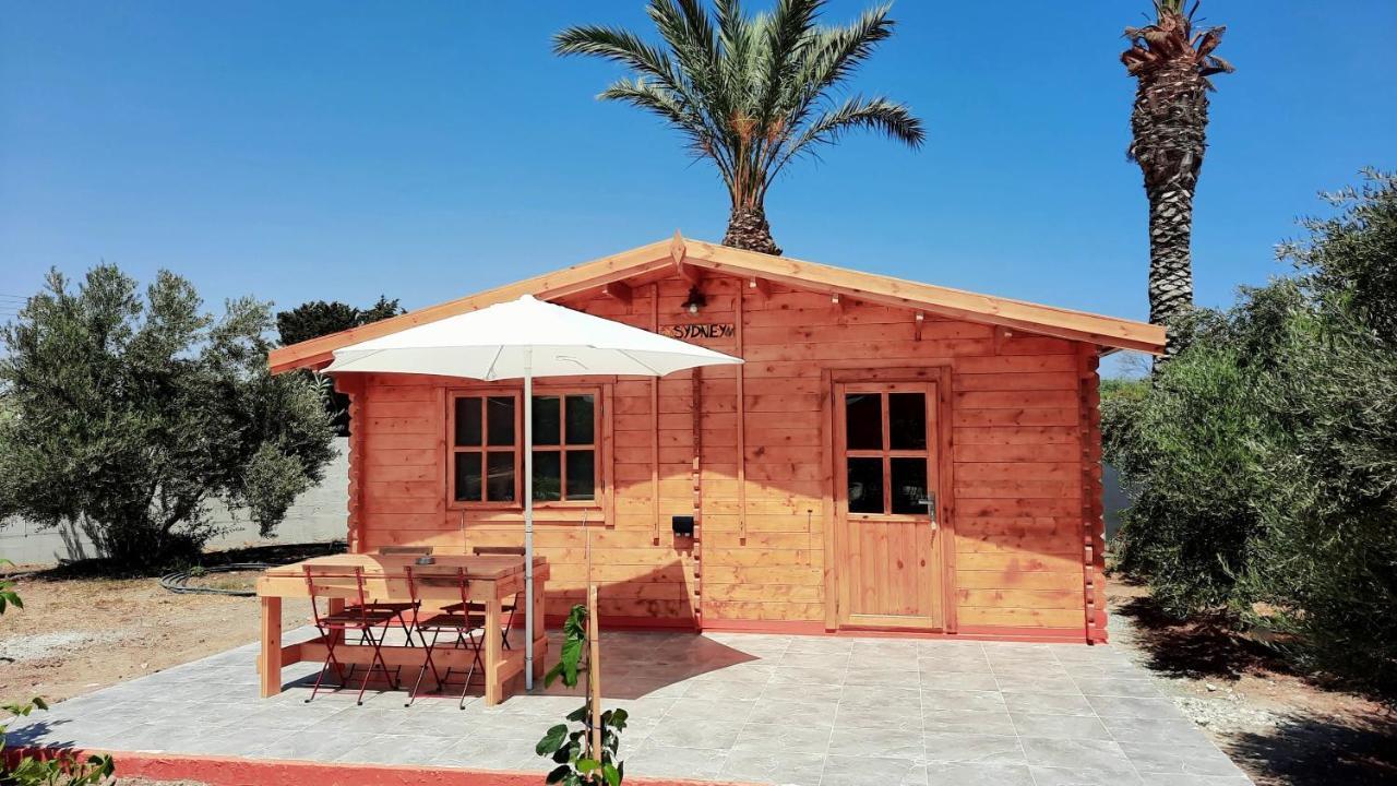 Cyprus Glamping Park Hotel Agios Theodoros Luaran gambar